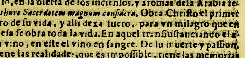 An illustration from Sermon en la festiva accion de gracias, que se hizo en la cathedral de la cuidad del Cuzco el domingo quarto de quaresma a Maria Santissima por la recuperacion de la cuidad de Valdiuia, y felices sucessos del Reyno de Chile deste ano de [1]647. : Celebrada por el Illmo. y Rmo. Sor. doctor don Iuan Alonso Ocon, obispo del Cuzco, del consejo de Su Magestad., 1647, leaf 33