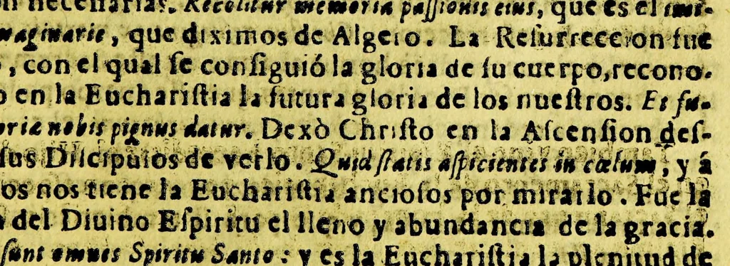 An illustration from Sermon en la festiva accion de gracias, que se hizo en la cathedral de la cuidad del Cuzco el domingo quarto de quaresma a Maria Santissima por la recuperacion de la cuidad de Valdiuia, y felices sucessos del Reyno de Chile deste ano de [1]647. : Celebrada por el Illmo. y Rmo. Sor. doctor don Iuan Alonso Ocon, obispo del Cuzco, del consejo de Su Magestad., 1647, leaf 33
