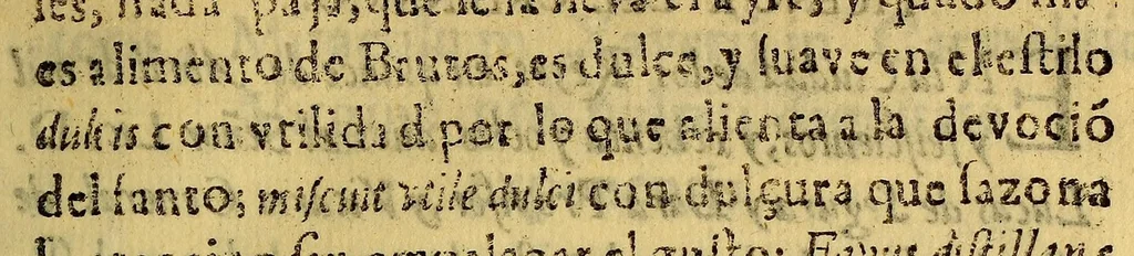 An illustration from Sermon en la procession, y accion de gracias al glorioso apostol de la Yndia San Francisco Xavier, : por el milagro, q[ue] obrò, dando repentina salud a la hermana Beatriz Rosa de San Francisco Xavier, religiosa carmelita descalca, professa;, 1698, leaf 27