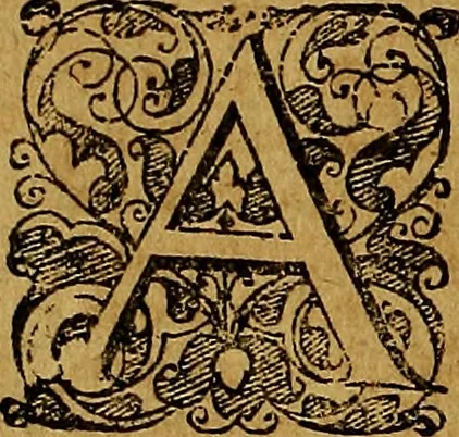 An illustration from Sermones in parabolas evangelicas totius anni .., 1612, leaf 11