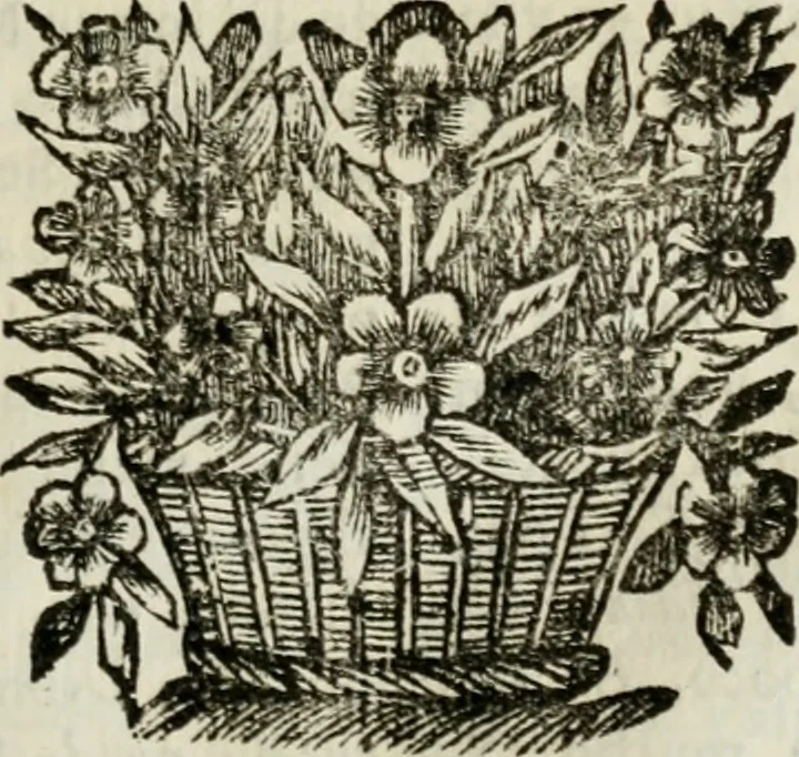 An illustration from Sermones varios, predicados en la cuidad de Lima corte de los reynos del Peru ... Sacalo a luz, Don Matheo Ibañez de Segovia y Peralta, Cavallero de el Orden de Calatrava, discipulo del Auctor. Dedicalos al Exmo. Señor Don Baltasar de la cuevar Enriquez Arias de Saavedra .., 1684, leaf 234