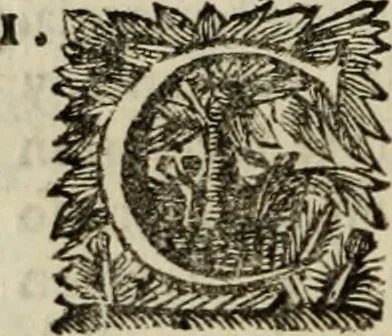 An illustration from Sermones varios, predicados en la cuidad de Lima corte de los reynos del Peru ... Sacalo a luz, Don Matheo Ibañez de Segovia y Peralta, Cavallero de el Orden de Calatrava, discipulo del Auctor. Dedicalos al Exmo. Señor Don Baltasar de la cuevar Enriquez Arias de Saavedra .., 1684, leaf 235