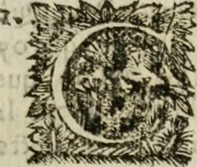 An illustration from Sermones varios, predicados en la cuidad de Lima corte de los reynos del Peru ... Sacalo a luz, Don Matheo Ibañez de Segovia y Peralta, Cavallero de el Orden de Calatrava, discipulo del Auctor. Dedicalos al Exmo. Señor Don Baltasar de la cuevar Enriquez Arias de Saavedra .., 1684, leaf 274