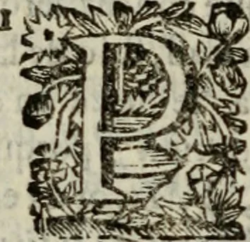 An illustration from Sermones varios, predicados en la cuidad de Lima corte de los reynos del Peru ... Sacalo a luz, Don Matheo Ibañez de Segovia y Peralta, Cavallero de el Orden de Calatrava, discipulo del Auctor. Dedicalos al Exmo. Señor Don Baltasar de la cuevar Enriquez Arias de Saavedra .., 1684, leaf 287