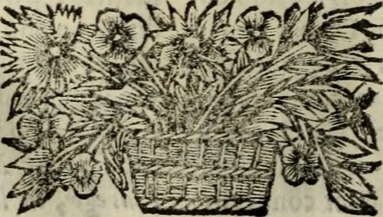 An illustration from Sermones varios, predicados en la cuidad de Lima corte de los reynos del Peru ... Sacalo a luz, Don Matheo Ibañez de Segovia y Peralta, Cavallero de el Orden de Calatrava, discipulo del Auctor. Dedicalos al Exmo. Señor Don Baltasar de la cuevar Enriquez Arias de Saavedra .., 1684, leaf 305