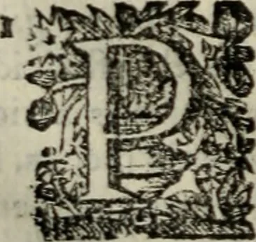An illustration from Sermones varios, predicados en la cuidad de Lima corte de los reynos del Peru ... Sacalo a luz, Don Matheo Ibañez de Segovia y Peralta, Cavallero de el Orden de Calatrava, discipulo del Auctor. Dedicalos al Exmo. Señor Don Baltasar de la cuevar Enriquez Arias de Saavedra .., 1684, leaf 325