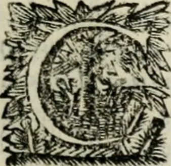 An illustration from Sermones varios, predicados en la cuidad de Lima corte de los reynos del Peru ... Sacalo a luz, Don Matheo Ibañez de Segovia y Peralta, Cavallero de el Orden de Calatrava, discipulo del Auctor. Dedicalos al Exmo. Señor Don Baltasar de la cuevar Enriquez Arias de Saavedra .., 1684, leaf 350