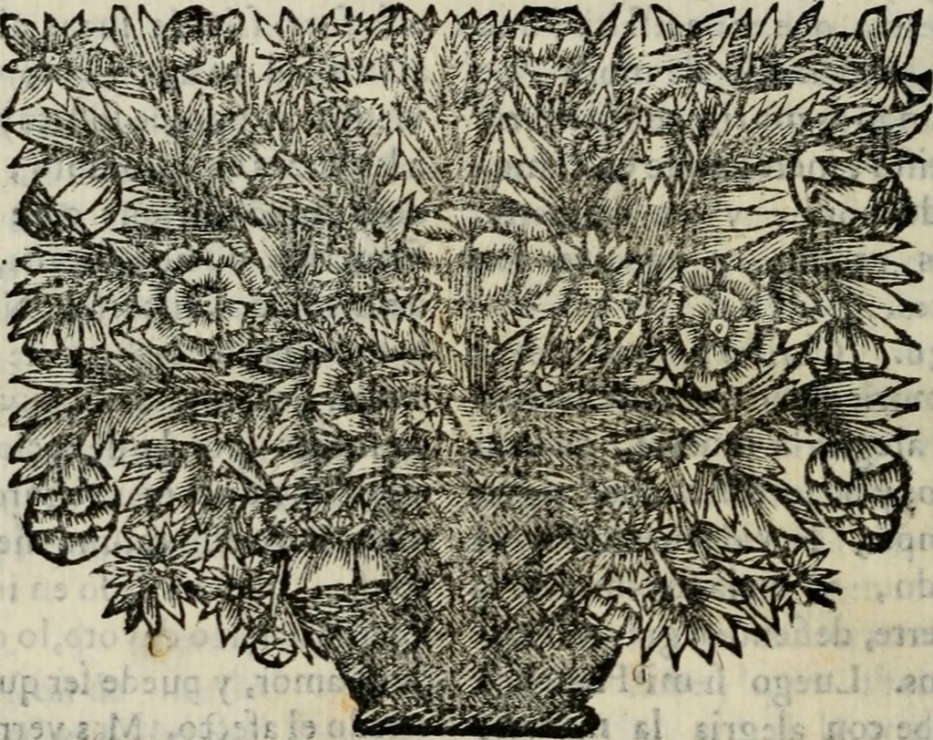 An illustration from Sermones varios, predicados en la cuidad de Lima corte de los reynos del Peru ... Sacalo a luz, Don Matheo Ibañez de Segovia y Peralta, Cavallero de el Orden de Calatrava, discipulo del Auctor. Dedicalos al Exmo. Señor Don Baltasar de la cuevar Enriquez Arias de Saavedra .., 1684, leaf 401