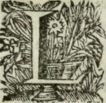An illustration from Sermones varios, predicados en la cuidad de Lima corte de los reynos del Peru ... Sacalo a luz, Don Matheo Ibañez de Segovia y Peralta, Cavallero de el Orden de Calatrava, discipulo del Auctor. Dedicalos al Exmo. Señor Don Baltasar de la cuevar Enriquez Arias de Saavedra .., 1684, leaf 402