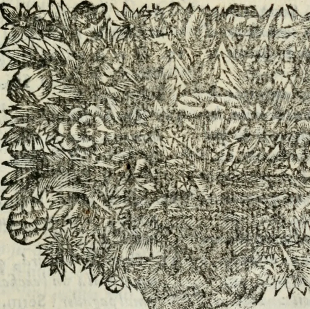 An illustration from Sermones varios, predicados en la cuidad de Lima corte de los reynos del Peru ... Sacalo a luz, Don Matheo Ibañez de Segovia y Peralta, Cavallero de el Orden de Calatrava, discipulo del Auctor. Dedicalos al Exmo. Señor Don Baltasar de la cuevar Enriquez Arias de Saavedra .., 1684, leaf 440