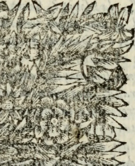 An illustration from Sermones varios, predicados en la cuidad de Lima corte de los reynos del Peru ... Sacalo a luz, Don Matheo Ibañez de Segovia y Peralta, Cavallero de el Orden de Calatrava, discipulo del Auctor. Dedicalos al Exmo. Señor Don Baltasar de la cuevar Enriquez Arias de Saavedra .., 1684, leaf 440