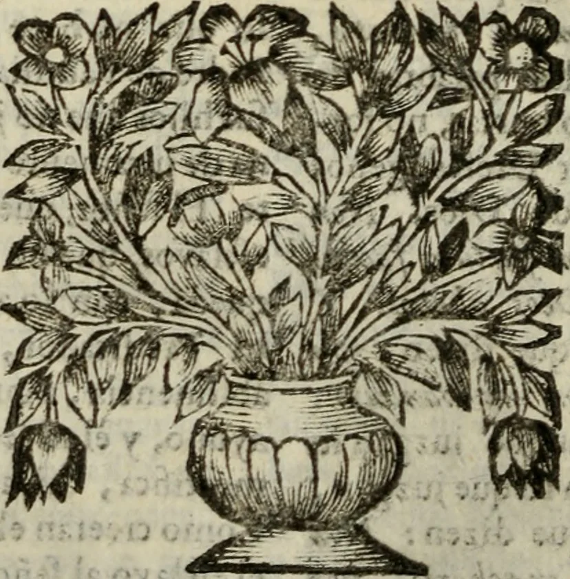 An illustration from Sermones varios, predicados en la cuidad de Lima corte de los reynos del Peru ... Sacalo a luz, Don Matheo Ibañez de Segovia y Peralta, Cavallero de el Orden de Calatrava, discipulo del Auctor. Dedicalos al Exmo. Señor Don Baltasar de la cuevar Enriquez Arias de Saavedra .., 1684, leaf 55