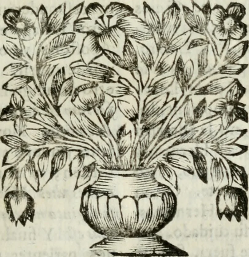An illustration from Sermones varios, predicados en la cuidad de Lima corte de los reynos del Peru ... Sacalo a luz, Don Matheo Ibañez de Segovia y Peralta, Cavallero de el Orden de Calatrava, discipulo del Auctor. Dedicalos al Exmo. Señor Don Baltasar de la cuevar Enriquez Arias de Saavedra .., 1684, leaf 76