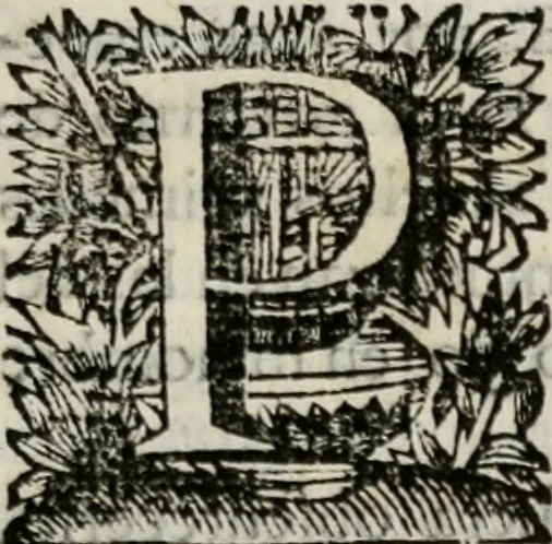 An illustration from Sermones varios, predicados en la cuidad de Lima corte de los reynos del Peru ... Sacalo a luz, Don Matheo Ibañez de Segovia y Peralta, Cavallero de el Orden de Calatrava, discipulo del Auctor. Dedicalos al Exmo. Señor Don Baltasar de la cuevar Enriquez Arias de Saavedra .., 1684, leaf 8