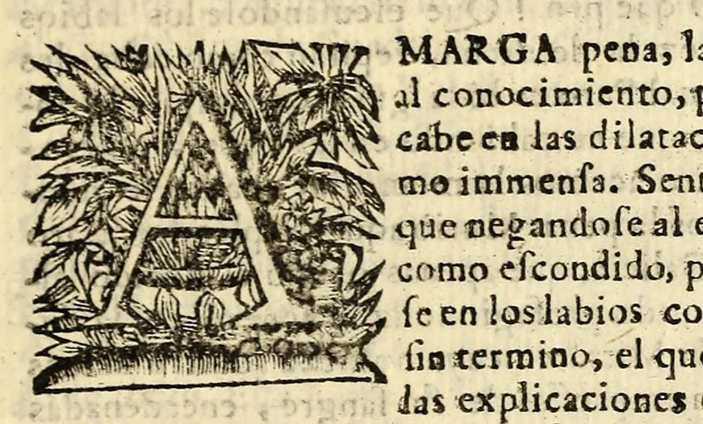 An illustration from Sermon funebre, manifiesto dolor de la Sancta Yglesia Metropolitana de Mexico, en las exequias de el illustrissimo, y reverendissimo señor doctor, y maestro don Francisco de Aguiar, y Seixas su dignissimo arçobispo, celebradas presente el excellentissimo señor D. Ioseph Sarmiento de Valladares, conde de Moctezuma, virrey governador, y capitan general de esta Nueva-España, la Real Audiencia, y todos los demas tribunales de esta corte., 1698, leaf 39