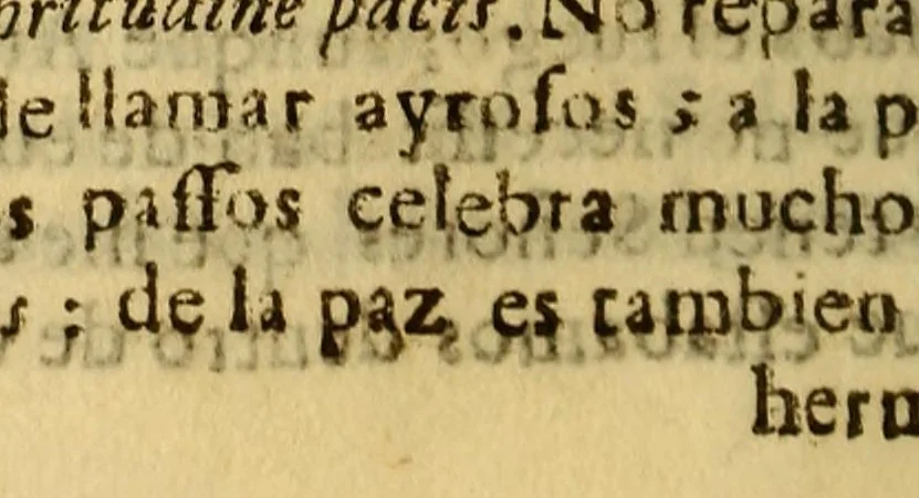 An illustration from Sermon nautico, y gratulatorio en el dia mas feliz, cumplido en los doze años de la illustrissima señora mi señora D. Elvira Augustina de Nauarra, y Toralto, : Rocafull, Frezza, Yxar, Moncada, Vrsino, y Aragon. Hija de los Excos. SSes. duques de la Palata, principes de Massa, uirreyes del Peru, &c. Predicolo en la Capitana del Mar del Sur, cerca de la linea equinoccial el P. Francisco Lopez de la Compañia de Iesus el dia 28. de agosto de 1681., 1681, leaf 20