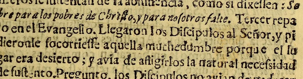 An illustration from Sermon panegirico en la publicacion solemne del breue confirmatorio de la Religion Betleemitica [sic]. : Fecha en la Iglesia Catredal de Lima el domingo quarto de Quaresma. Predicolo el M.R.P.M. Fr. Mathias Lisperguer y Solis calificador de el Santo Oficio, maestro en artes, y doctor theologo en la Real Vniuersidad de S. Marcos. Catedratico (que fue) de prima de theologia en la Vniuersidad Pontificia de S. Ildefonso, regente general de los estudios, y coronista de la Prouincia del Peru de el Orden de nuestro P. S. Agustin., 1699, leaf 45