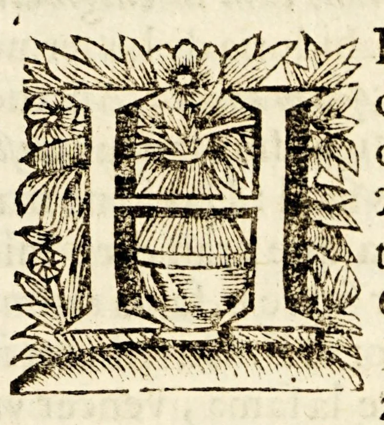 An illustration from Sermon a S. Antonio de Padua en la rogativa, que por el buen viage de la flota hizo la mission, en el Convento de N.P.S. Francisco de la ciudad de Cadiz, año de 1687., 1691, leaf 21