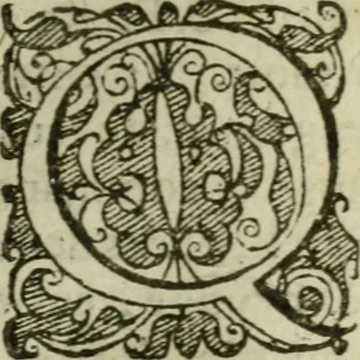 An illustration from Sermons de la simulee conversion, et nullite de la pretendue absolution de Henry de Bourbon, Prince de Bearn à S. Denys en France, le Dimenche 25 iuillet, 1953, sur le sujet de l'Euangile du mesme iour, attendite à falsis prophetis, &c., Matth. 7. Prononcez en l'eglise S. Merry à Paris, depuis le premier iour d'aoust prochainement suyuant, iusques au neufiesme dudict mois, 1594, leaf 448