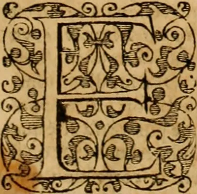 An illustration from Sermons de M. Iean Calvin sur le livre de Iob : recueillis fidelement de sa bouche selon qu'il les preschoit, 1569, leaf 110