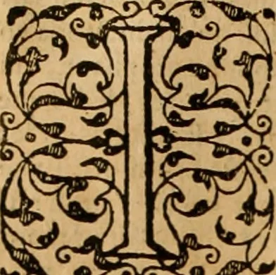 An illustration from Sermons de M. Iean Calvin sur le livre de Iob : recueillis fidelement de sa bouche selon qu'il les preschoit, 1569, leaf 155