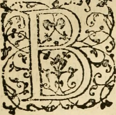 An illustration from Sermons de M. Iean Calvin sur le livre de Iob : recueillis fidelement de sa bouche selon qu'il les preschoit, 1569, leaf 191