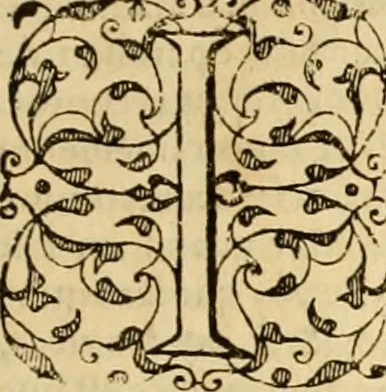 An illustration from Sermons de M. Iean Calvin sur le livre de Iob : recueillis fidelement de sa bouche selon qu'il les preschoit, 1569, leaf 206