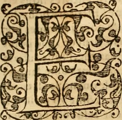 An illustration from Sermons de M. Iean Calvin sur le livre de Iob : recueillis fidelement de sa bouche selon qu'il les preschoit, 1569, leaf 253