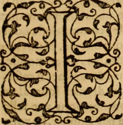 An illustration from Sermons de M. Iean Calvin sur le livre de Iob : recueillis fidelement de sa bouche selon qu'il les preschoit, 1569, leaf 268