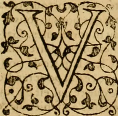 An illustration from Sermons de M. Iean Calvin sur le livre de Iob : recueillis fidelement de sa bouche selon qu'il les preschoit, 1569, leaf 288