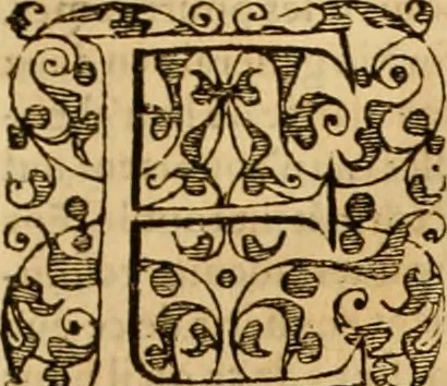 An illustration from Sermons de M. Iean Calvin sur le livre de Iob : recueillis fidelement de sa bouche selon qu'il les preschoit, 1569, leaf 330