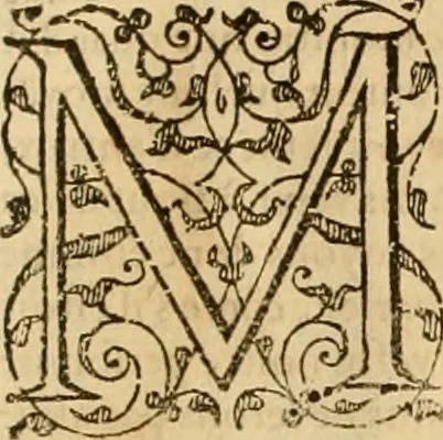 An illustration from Sermons de M. Iean Calvin sur le livre de Iob : recueillis fidelement de sa bouche selon qu'il les preschoit, 1569, leaf 371
