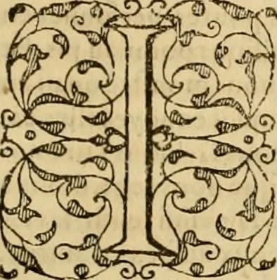 An illustration from Sermons de M. Iean Calvin sur le livre de Iob : recueillis fidelement de sa bouche selon qu'il les preschoit, 1569, leaf 392