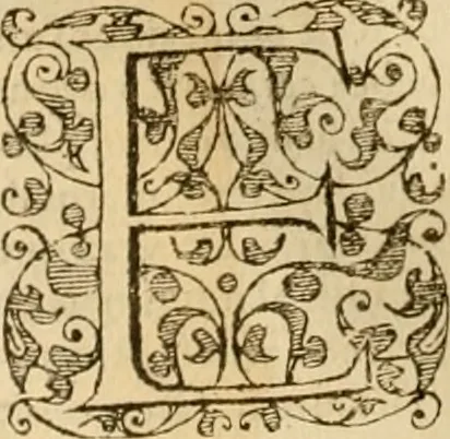 An illustration from Sermons de M. Iean Calvin sur le livre de Iob : recueillis fidelement de sa bouche selon qu'il les preschoit, 1569, leaf 439