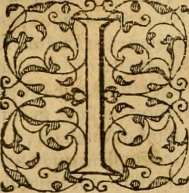 An illustration from Sermons de M. Iean Calvin sur le livre de Iob : recueillis fidelement de sa bouche selon qu'il les preschoit, 1569, leaf 46