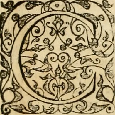 An illustration from Sermons de M. Iean Calvin sur le livre de Iob : recueillis fidelement de sa bouche selon qu'il les preschoit, 1569, leaf 507