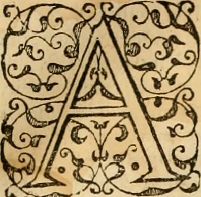 An illustration from Sermons de M. Iean Calvin sur le livre de Iob : recueillis fidelement de sa bouche selon qu'il les preschoit, 1569, leaf 523