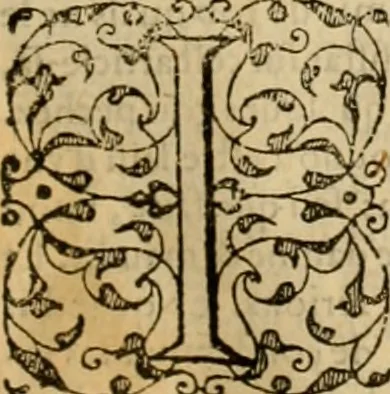 An illustration from Sermons de M. Iean Calvin sur le livre de Iob : recueillis fidelement de sa bouche selon qu'il les preschoit, 1569, leaf 538