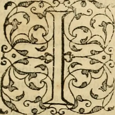 An illustration from Sermons de M. Iean Calvin sur le livre de Iob : recueillis fidelement de sa bouche selon qu'il les preschoit, 1569, leaf 576