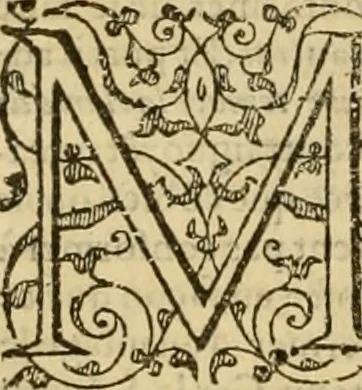 An illustration from Sermons de M. Iean Calvin sur le livre de Iob : recueillis fidelement de sa bouche selon qu'il les preschoit, 1569, leaf 597