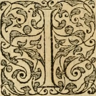 An illustration from Sermons de M. Iean Calvin sur le livre de Iob : recueillis fidelement de sa bouche selon qu'il les preschoit, 1569, leaf 613