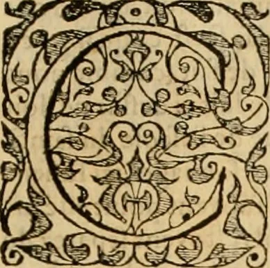 An illustration from Sermons de M. Iean Calvin sur le livre de Iob : recueillis fidelement de sa bouche selon qu'il les preschoit, 1569, leaf 656