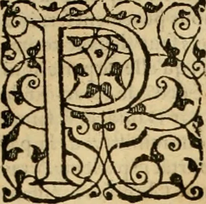 An illustration from Sermons de M. Iean Calvin sur le livre de Iob : recueillis fidelement de sa bouche selon qu'il les preschoit, 1569, leaf 672