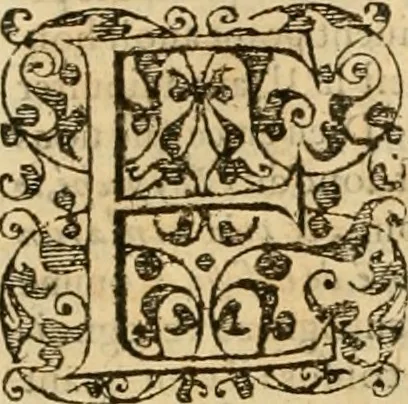 An illustration from Sermons de M. Iean Calvin sur le livre de Iob : recueillis fidelement de sa bouche selon qu'il les preschoit, 1569, leaf 703