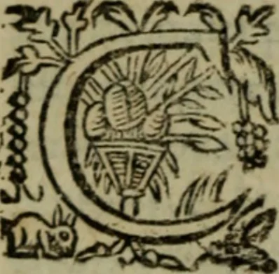 An illustration from Sermons doctes et admirables, sur tous les jours caresme, & feries de Pasques : preschez a Paris, 1626, leaf 281