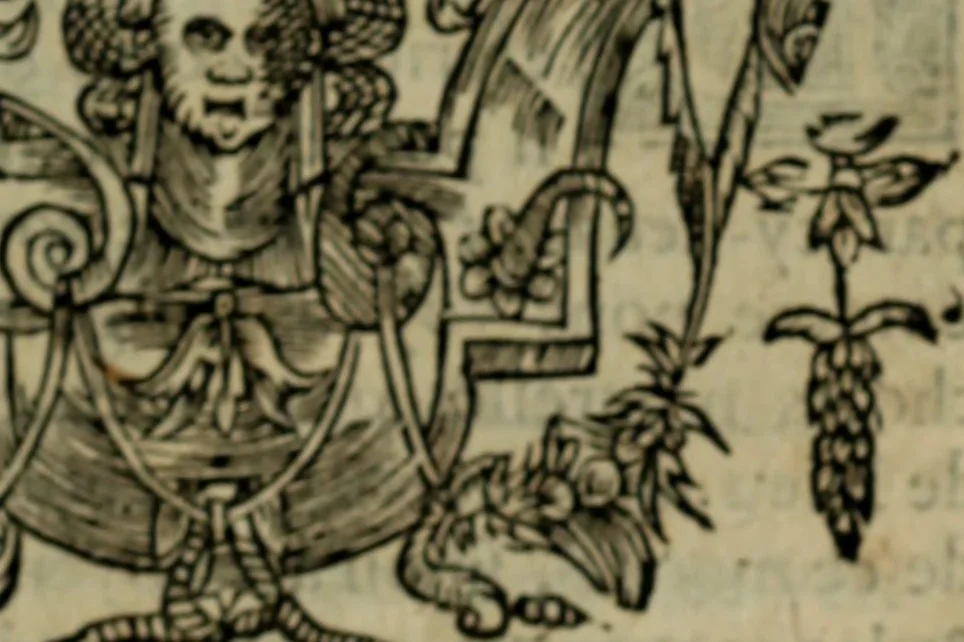 An illustration from Sermons doctes et admirables, sur tous les jours caresme, & feries de Pasques : preschez a Paris, 1626, leaf 424