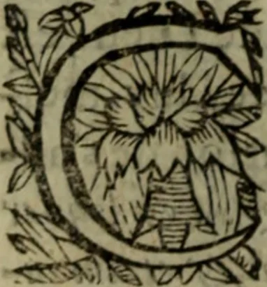 An illustration from Sermons doctes et admirables, sur tous les jours caresme, & feries de Pasques : preschez a Paris, 1626, leaf 761