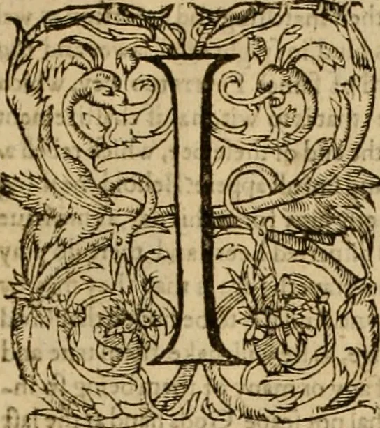 An illustration from Sermons of Master Iohn Caluin upon the booke of Iob, 1574, leaf 10