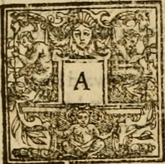 An illustration from Sermons of Master Iohn Caluin upon the booke of Iob, 1574, leaf 188