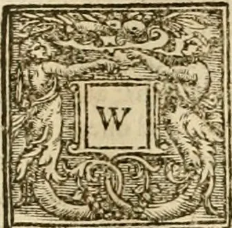 An illustration from Sermons of Master Iohn Caluin upon the booke of Iob, 1574, leaf 359